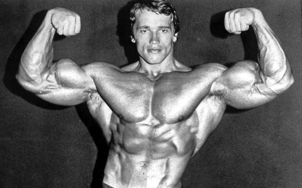 Arnold Schwarzenegger Tener éxito en la vida